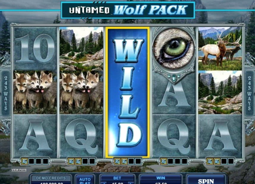295 free spins casino at Spin Palace Casino