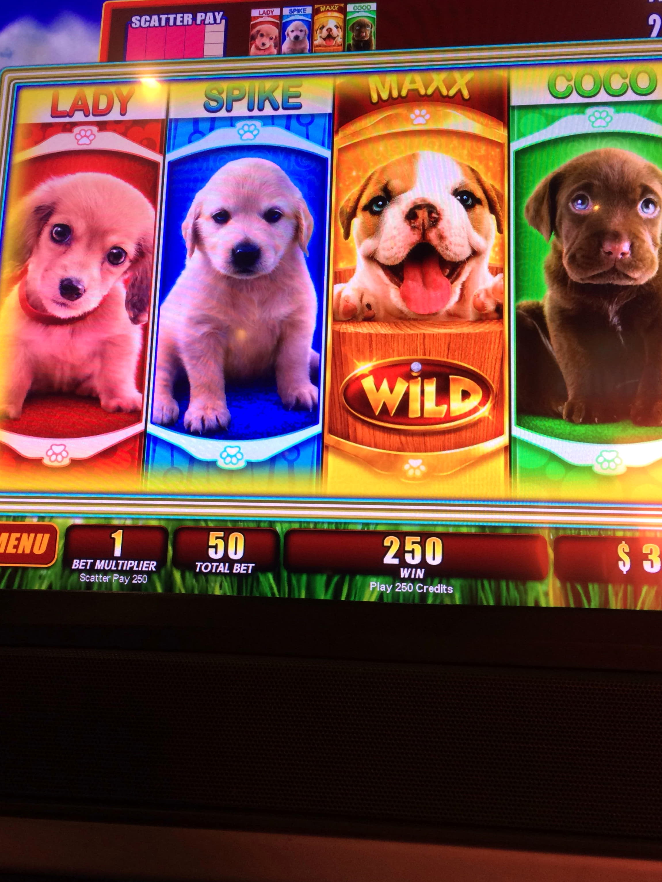 EURO 2095 No Deposit Casino Bonus at All Slots Casino