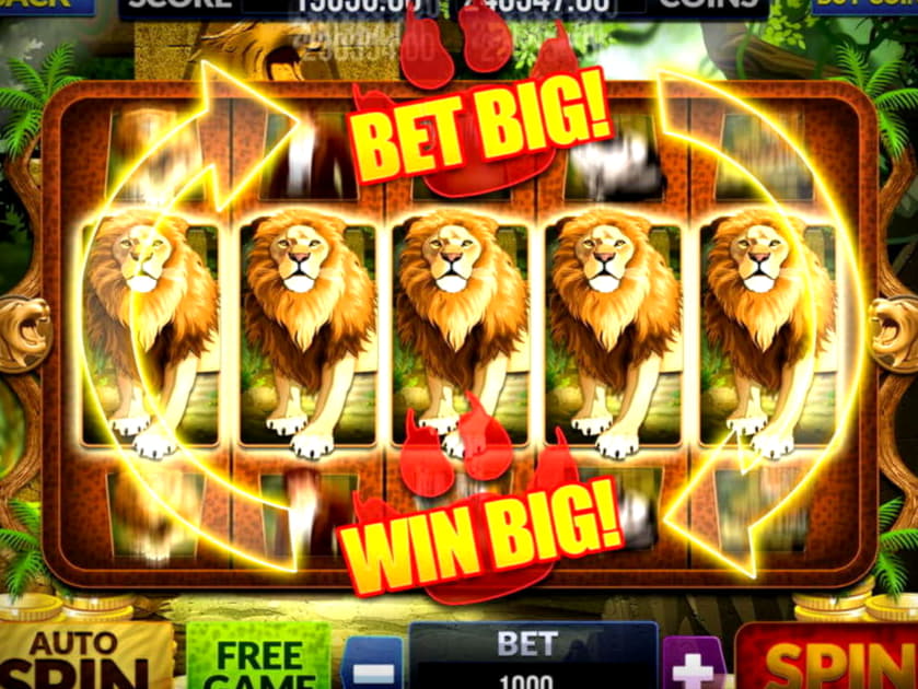 295 Free spins no deposit at Betzest Casino