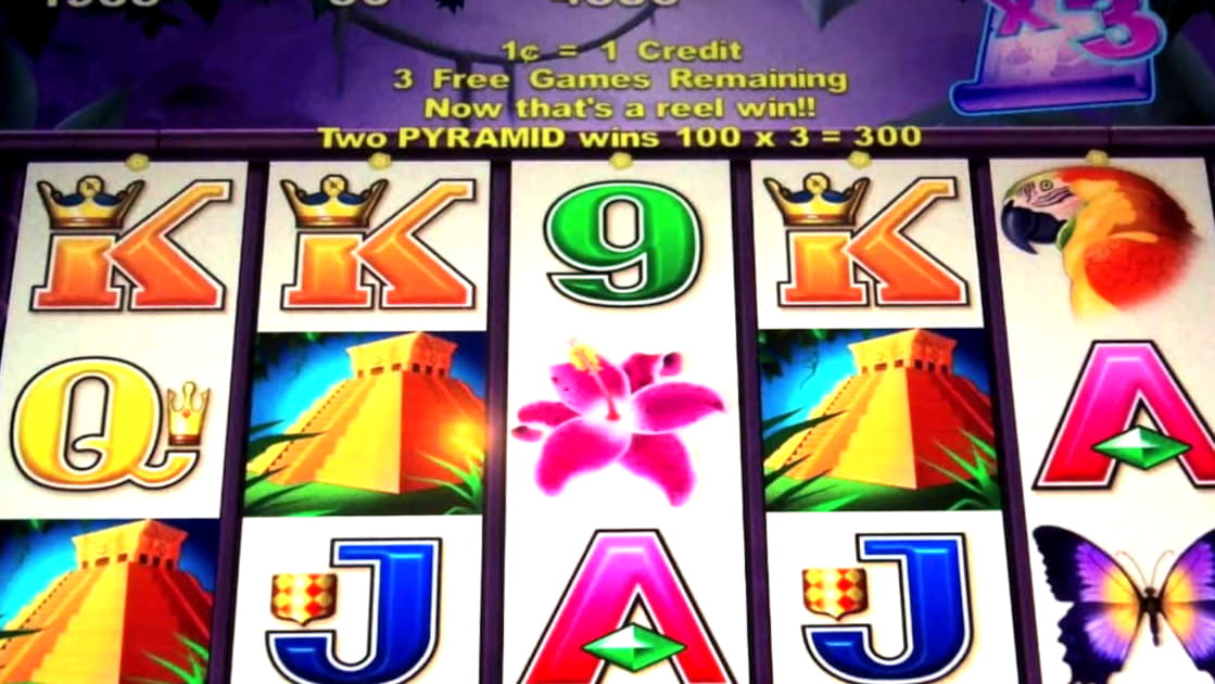 510% Match bonus casino at 7 Reels Casino