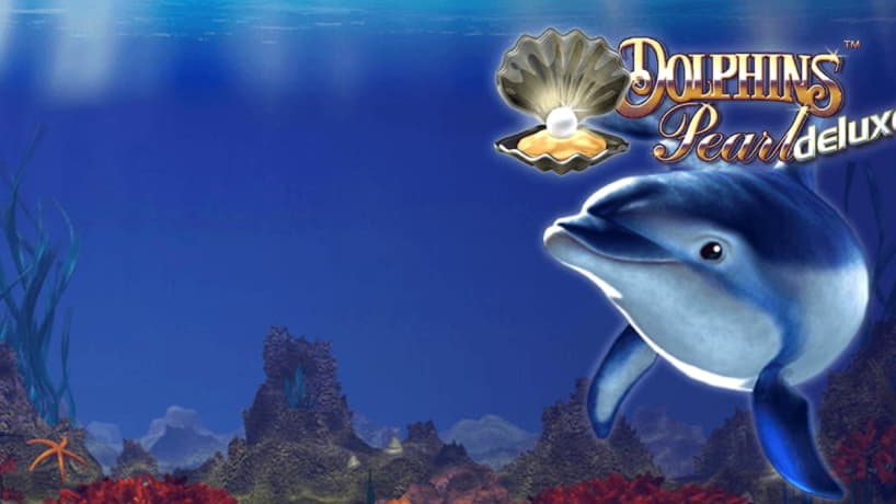 680% No Rules Bonus! at Zodiac Casino