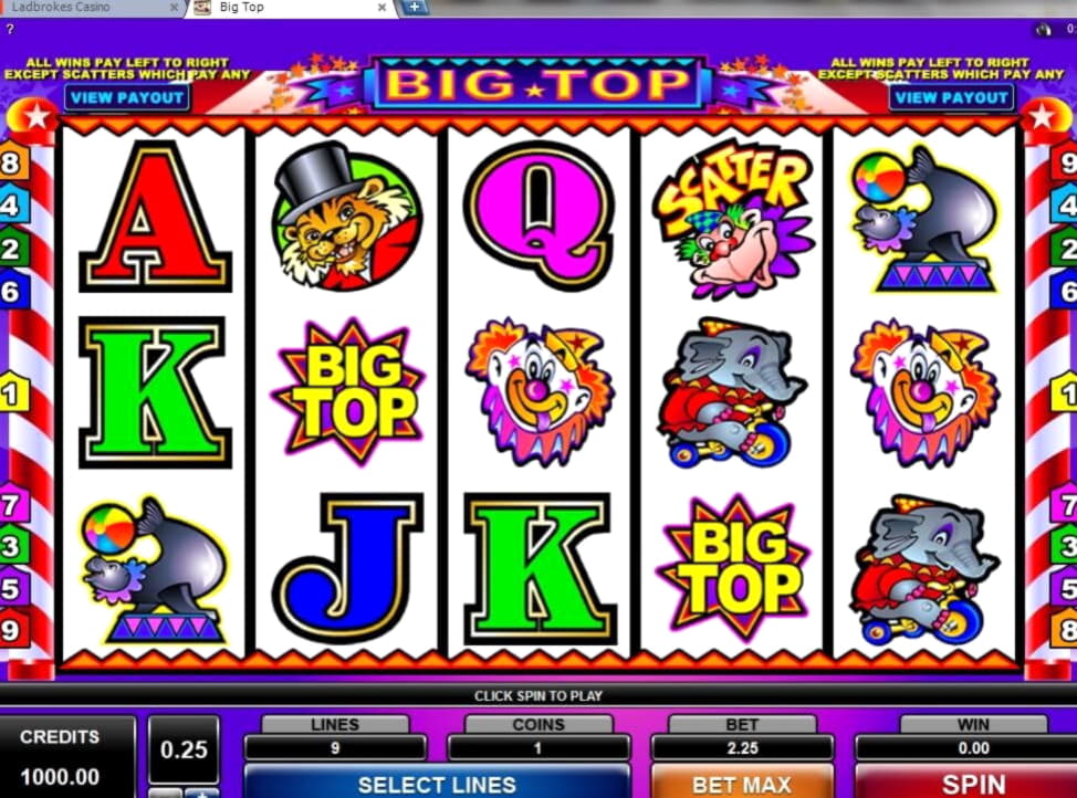 EUR 375 Daily freeroll slot tournament at CasiPlay Casino
