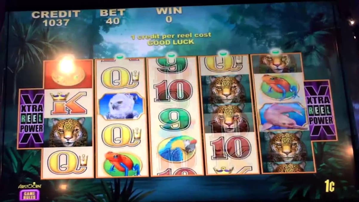 Eur 2420 NO DEPOSIT BONUS at Reload Bet Casino