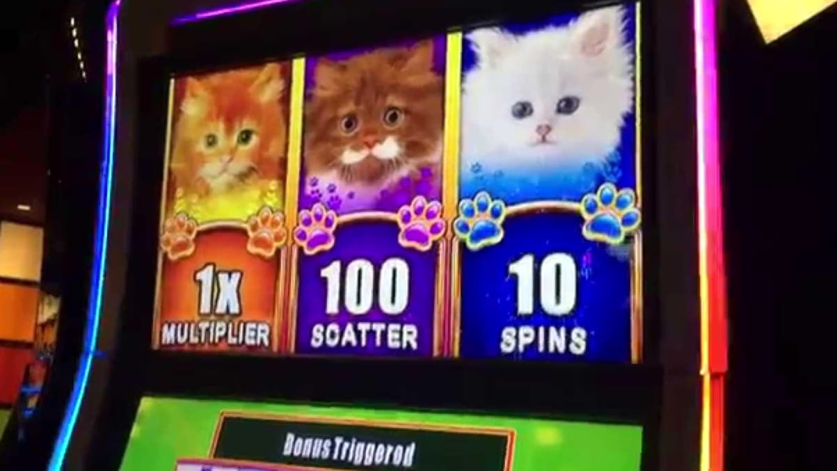 €1265 No Deposit Bonus Code at 7 Reels Casino