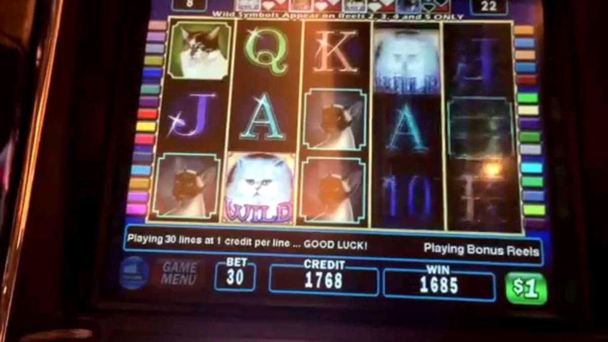 EURO 385 Free Casino Ticket at Video Slots Casino