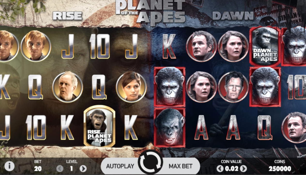 635% No Rules Bonus! at Platinum Play Casino