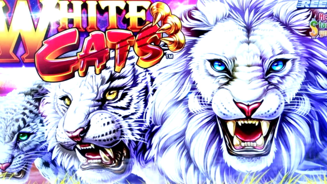 270 Loyalty Free Spins! at Party Casino