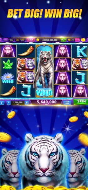11 free spins casino at Leo Dubai Casino