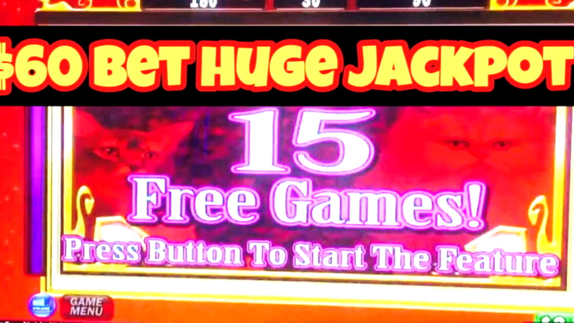 100 free spins casino at Leo Dubai Casino