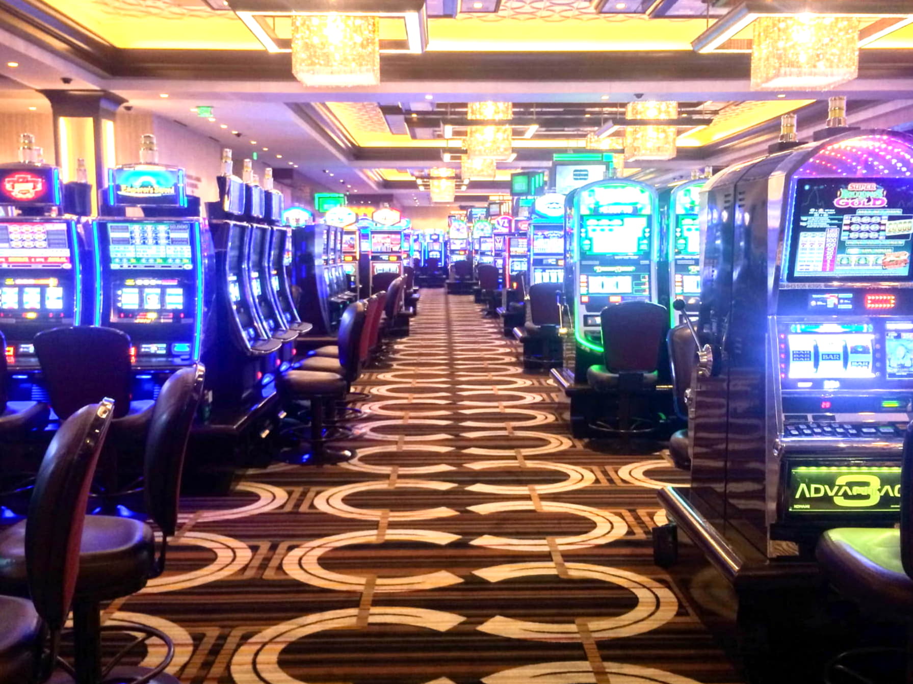 £505 Casino tournaments freeroll at Platinum Play Casino