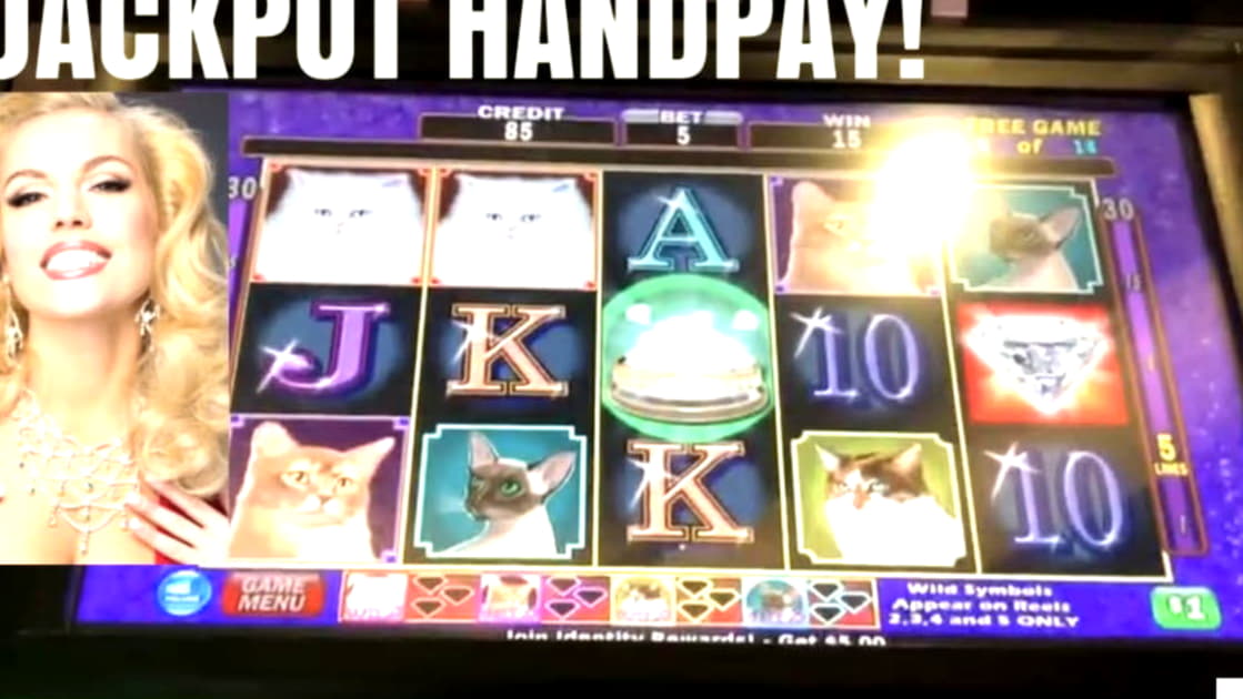 88 free casino spins at Rich Casino