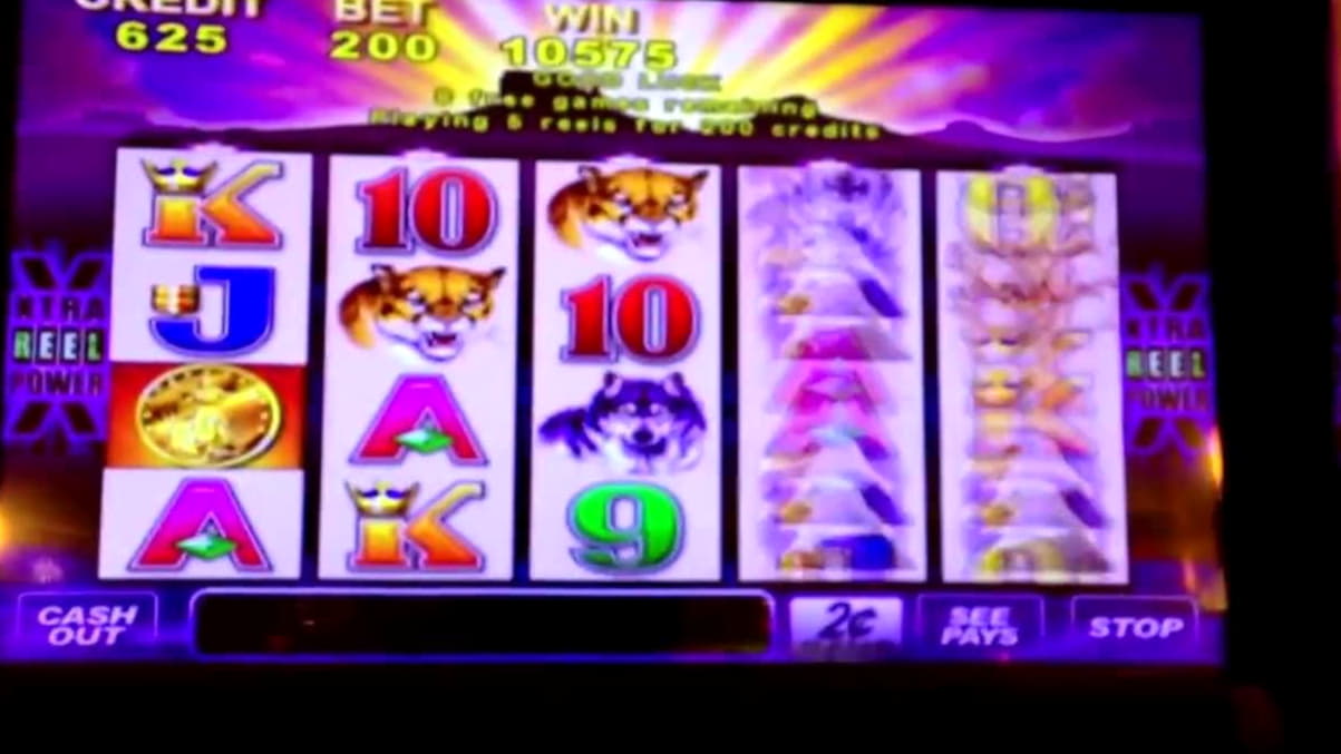 €595 Mobile freeroll slot tournament at Leo Dubai Casino