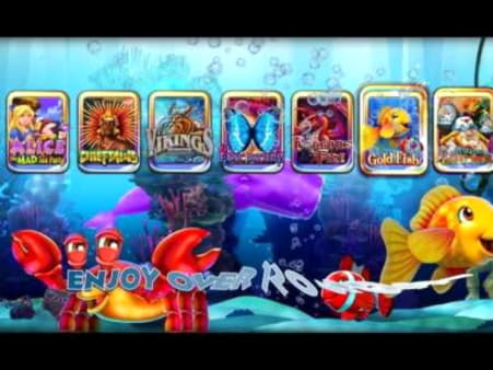 240 Free Spins no deposit at Rich Casino