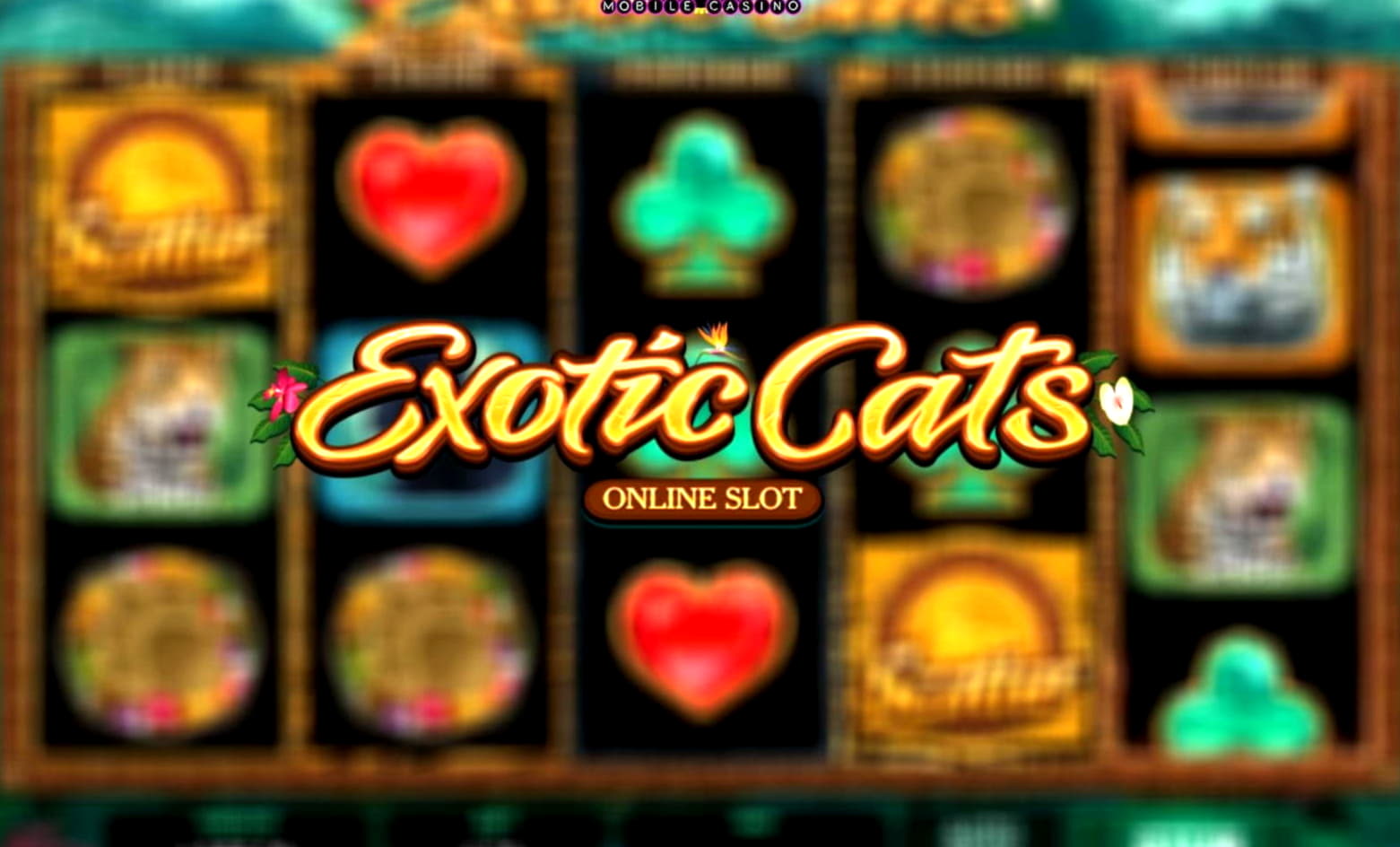 $3220 no deposit bonus at Bet Rebels Casino