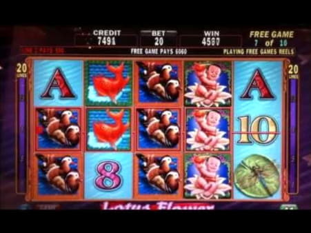 ﻿$550 FREE CHIP at Video Slots Casino