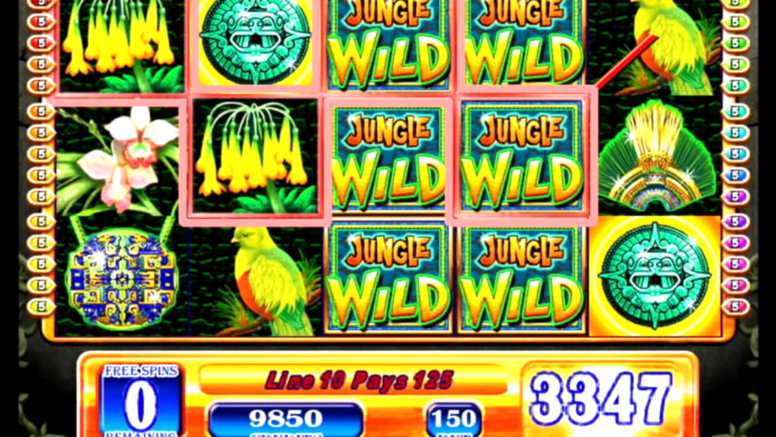 125% Deposit Match Bonus at CasiPlay Casino