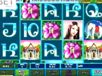 Eur 340 Online Casino Tournament at Platinum Play Casino