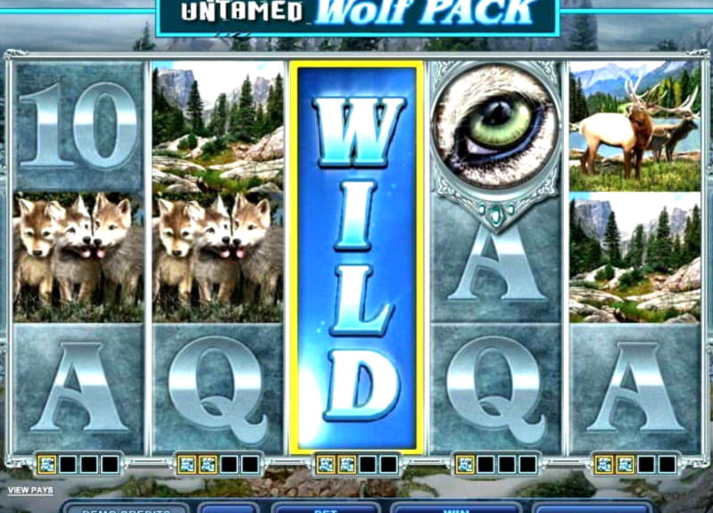 ﻿$255 No Deposit Bonus at Boa Boa Casino