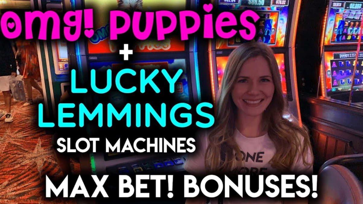 EURO 665 Mobile freeroll slot tournament at Amazing Casino 
