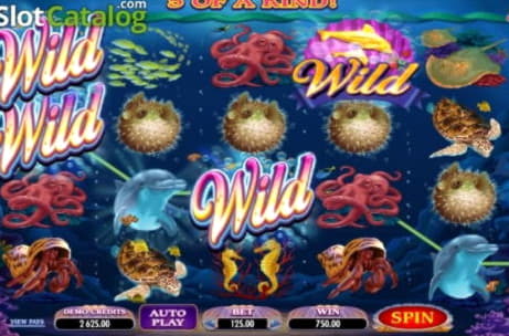 £315 Free Casino Chip at Reload Bet Casino