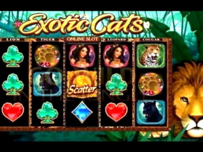 190 Free Spins at Amazing Casino 