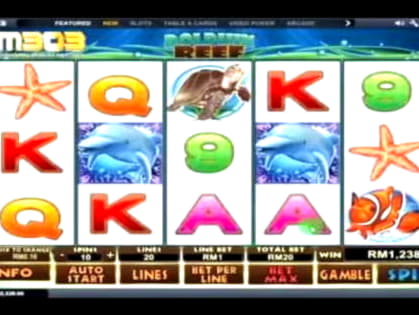 695% No Rules Bonus! at Leo Dubai Casino