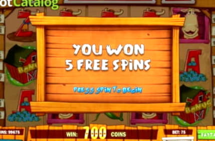 $555 Daily freeroll slot tournament at Rich Casino