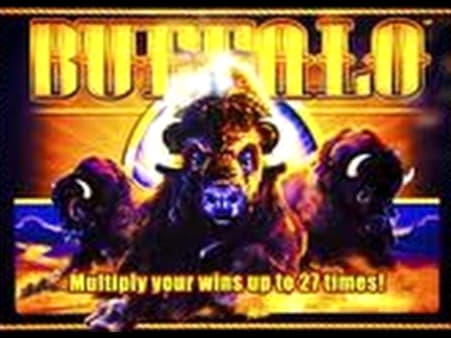 55 Trial Spins at Boa Boa Casino