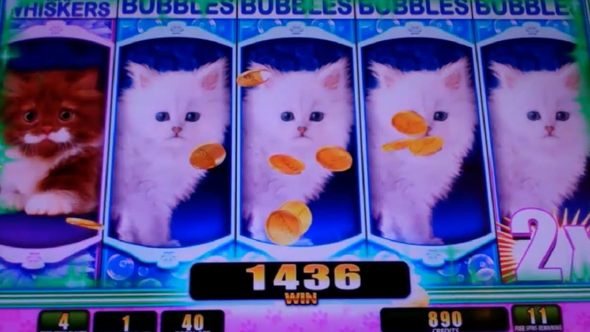66 Loyal Free Spins! at Boa Boa Casino