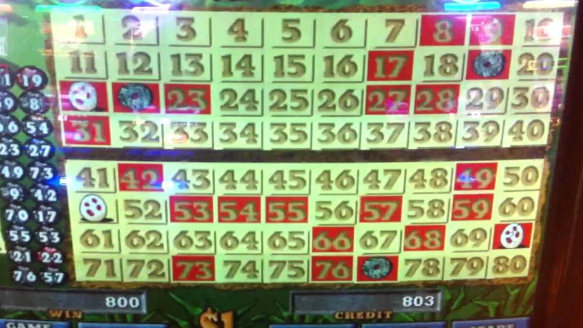 $4635 No deposit bonus at Zet Casino