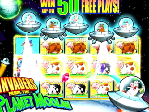 €555 no deposit at Bet Rebels Casino