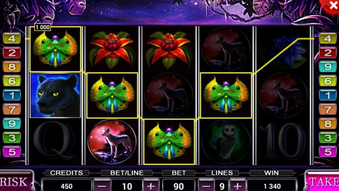 €4155 No Deposit at Unique Casino
