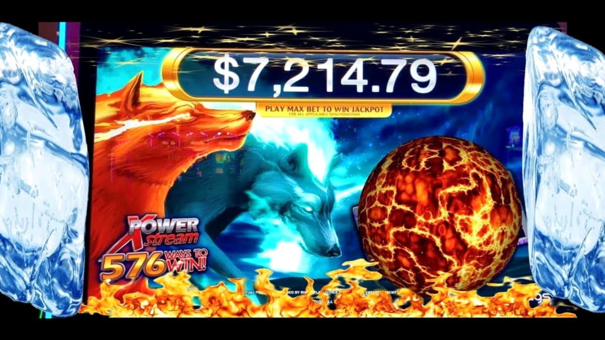 $770 Online Casino Tournament at Leo Dubai Casino