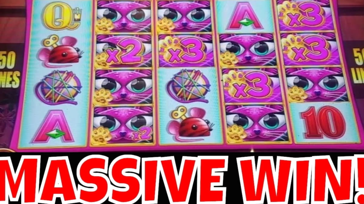 ﻿$1520 No deposit bonus code at Betzest Casino