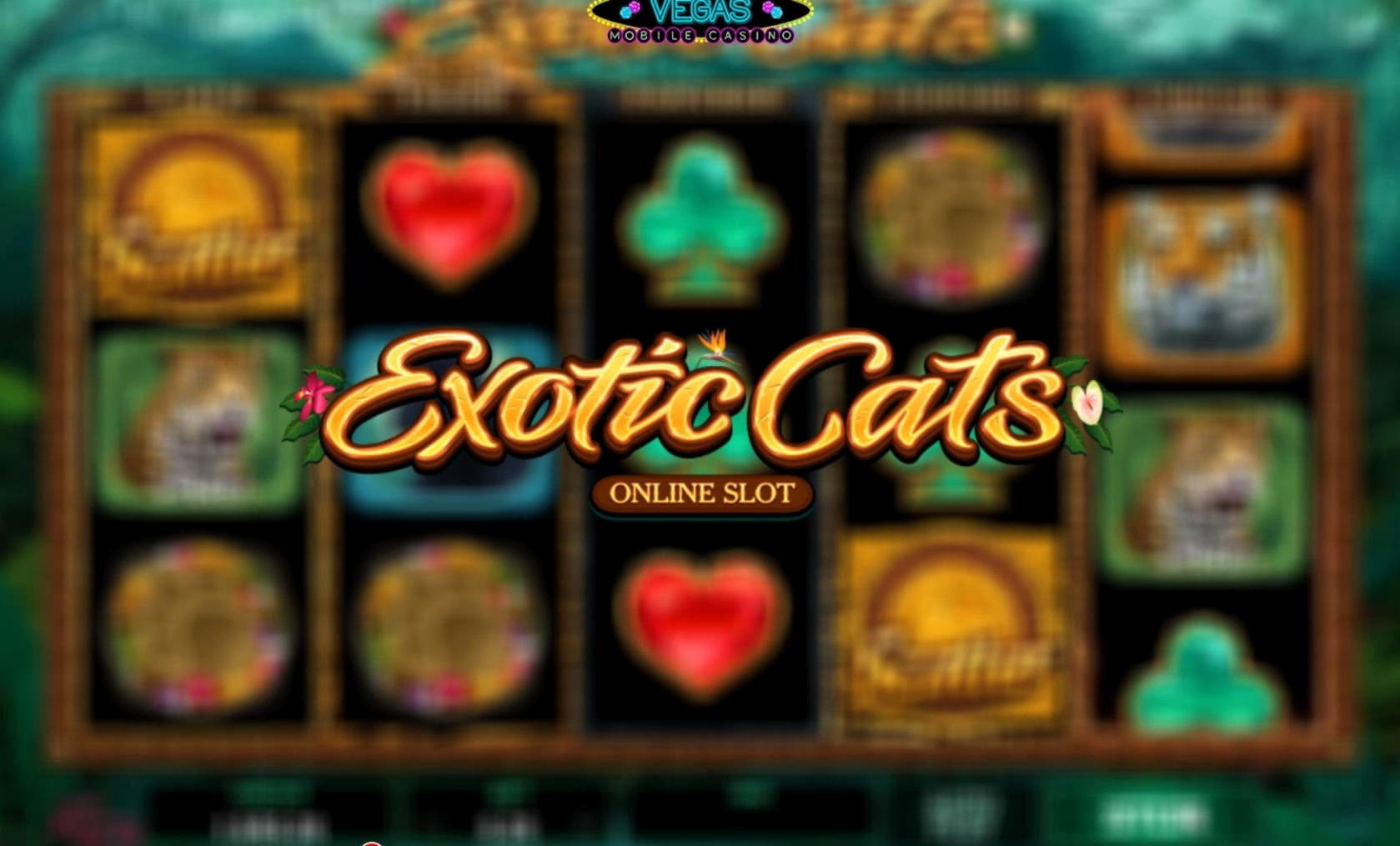 345% No Rules Bonus! at Zet Casino