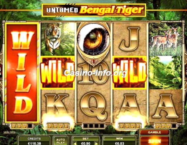 100 FREE Spins at Buran Casino