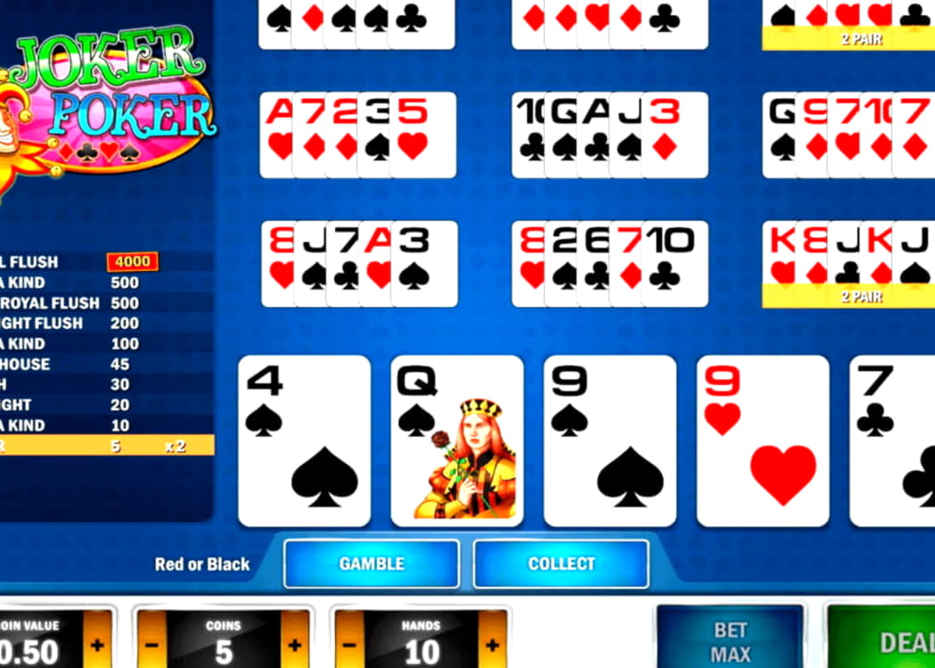 10 free spins at Betzest Casino