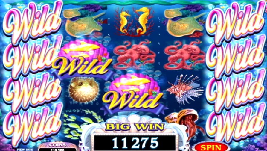 EURO 405 free casino chip at Leo Dubai Casino
