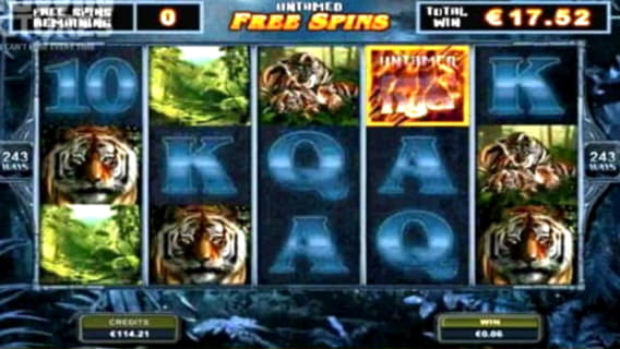 245 Free Spins right now at Betzest Casino