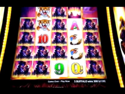 Eur 990 Daily freeroll slot tournament at Leo Dubai Casino
