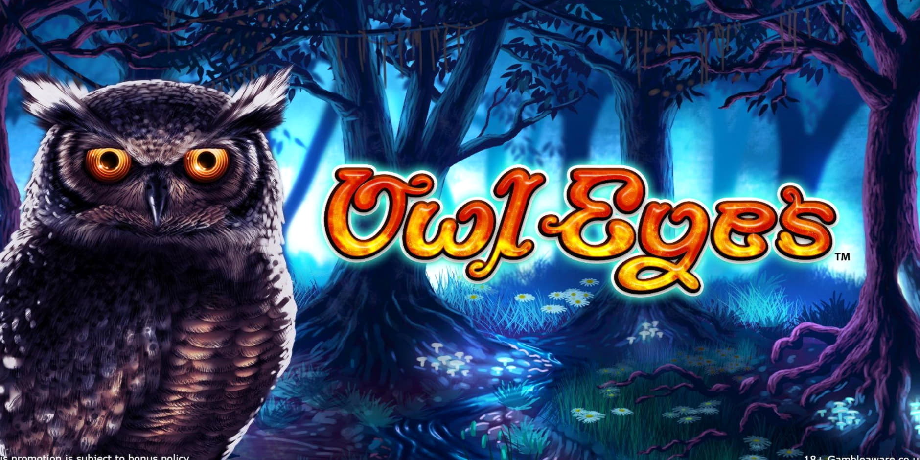 35 Free spins no deposit casino at Reload Bet Casino