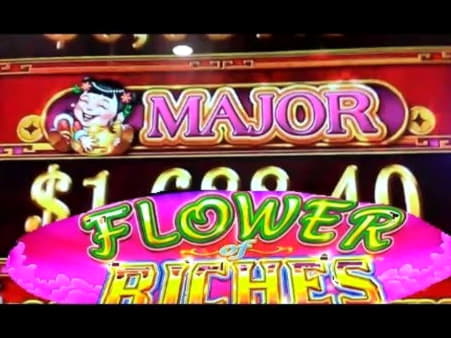 185 Free Spins right now at CasiPlay Casino