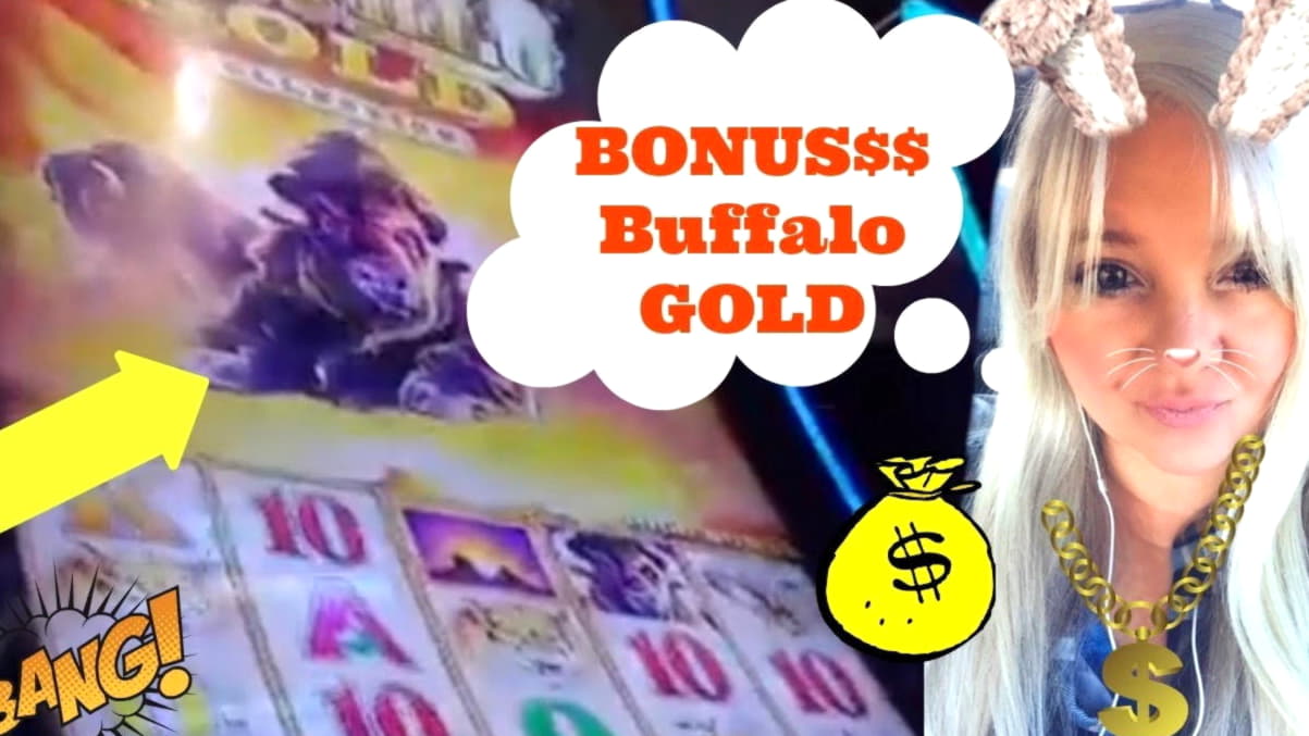 EURO 65 Free Casino Tournament at 7 Reels Casino