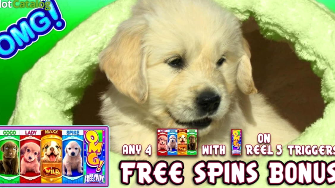 £380 Free Cash at Bet Rebels Casino