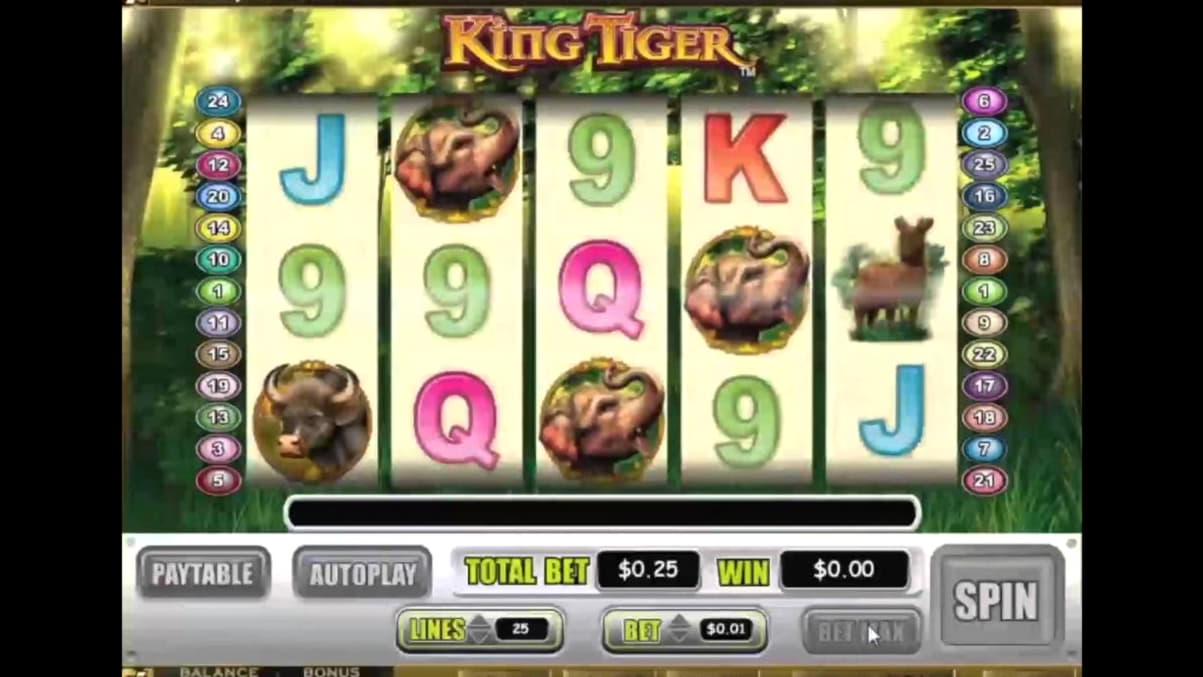 65 free spins at Reload Bet Casino