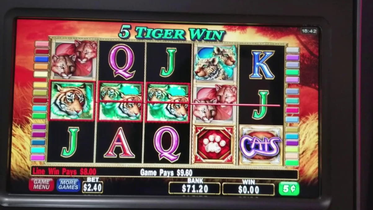 115% Best signup bonus casino at Platin Casino