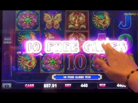 105 FREE SPINS at CasiPlay Casino