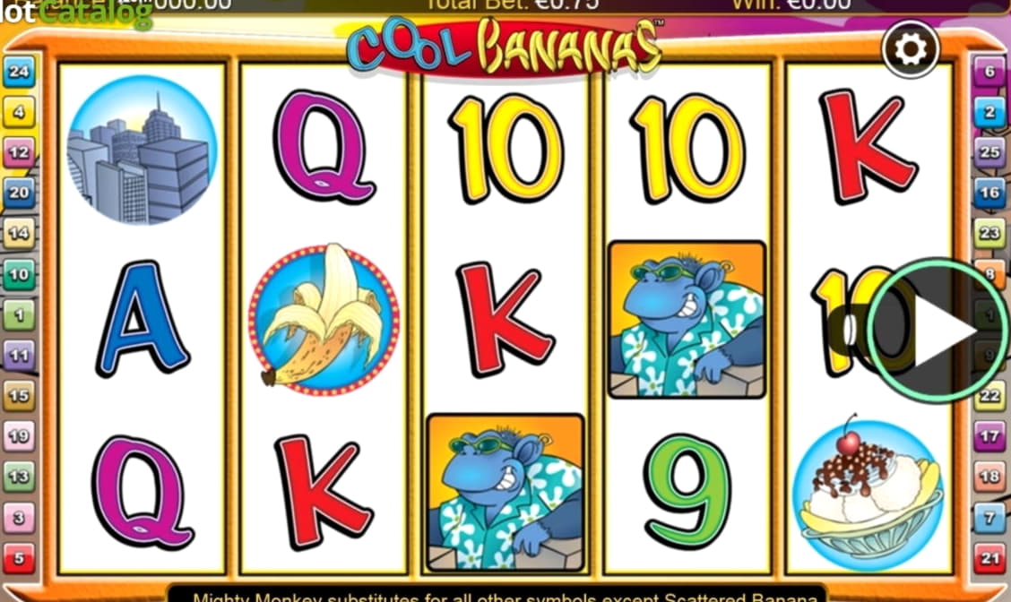 495% Casino Welcome Bonus at Reload Bet Casino