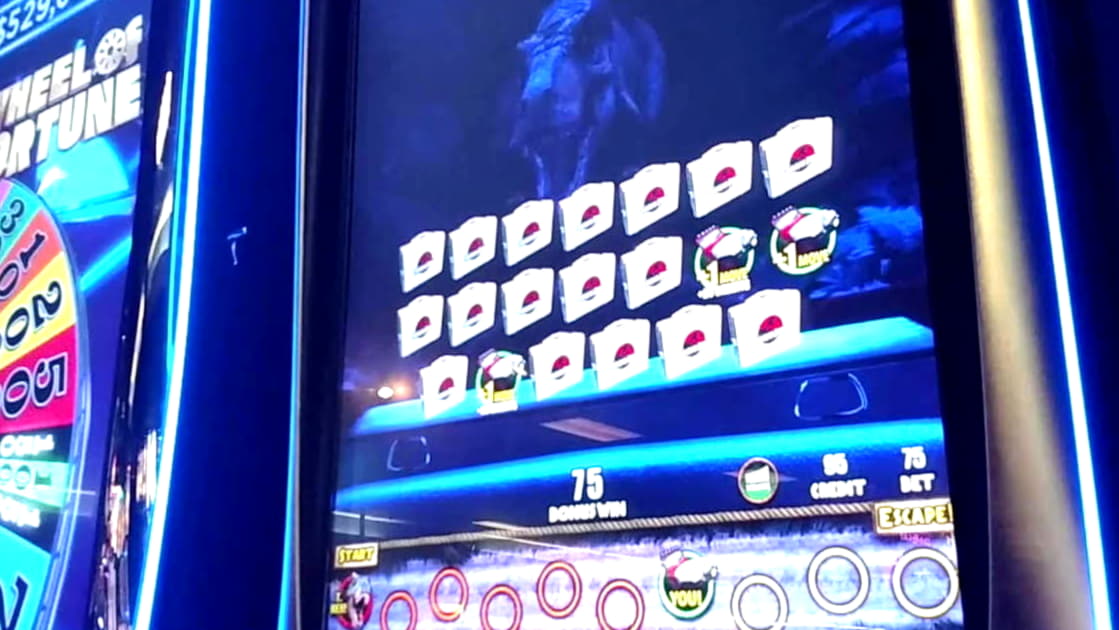 15 Free Spins right now at Spin Palace Casino