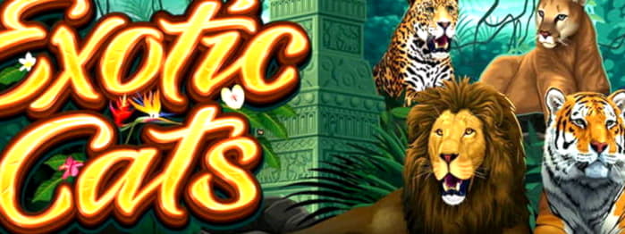 EUR 450 Free chip at Bet Rebels Casino